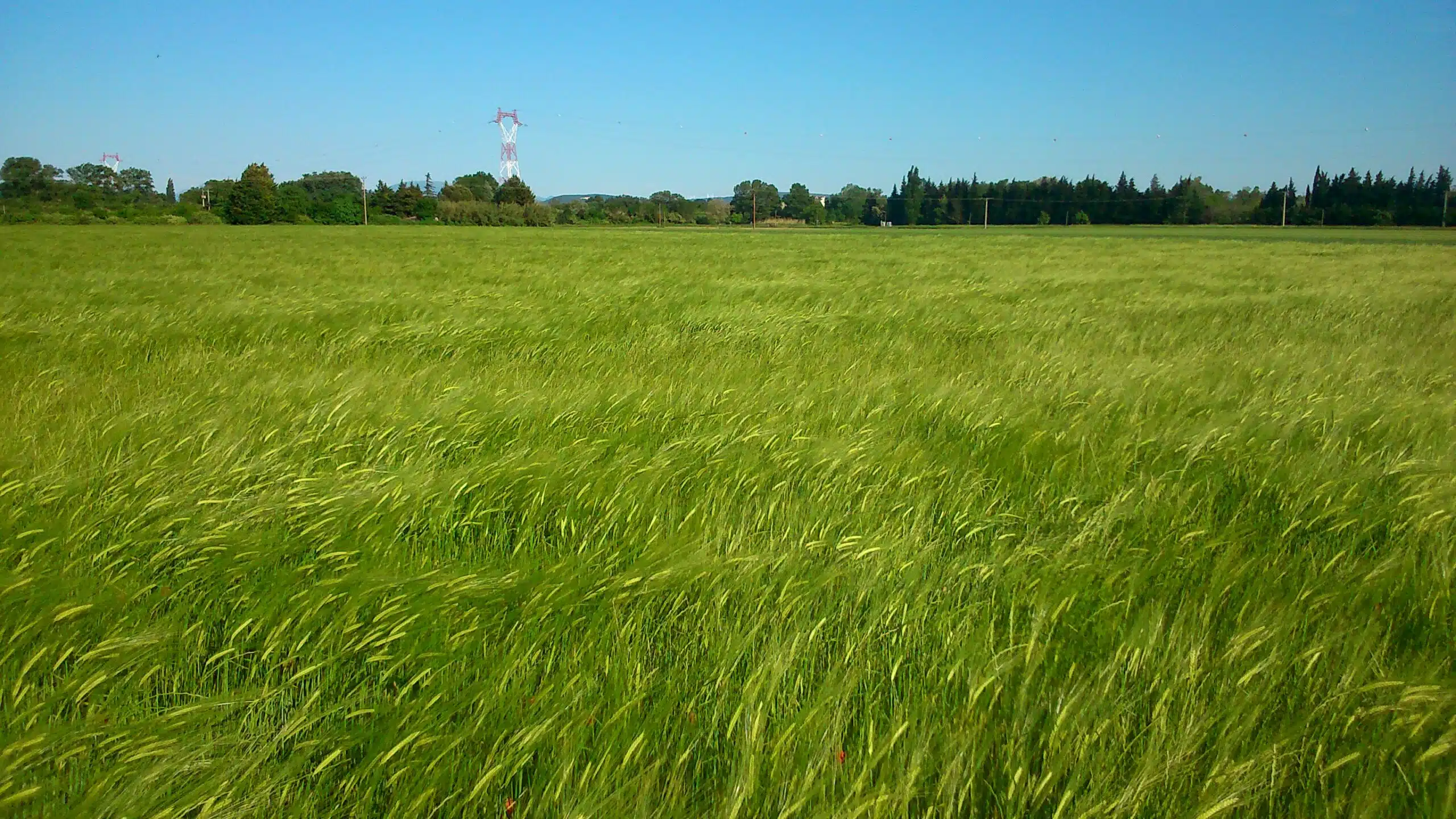 Comprendre les équivalences passer d'un hectare à des mètres carrés