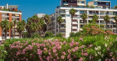 la nouvelle loi pinel et les avantages de l'immobilier neuf