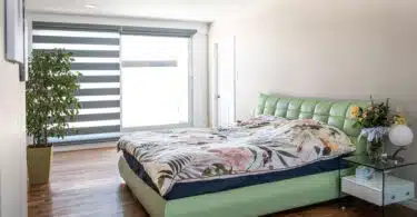 Comment un professionnel traite les punaises de lit à domicile ?